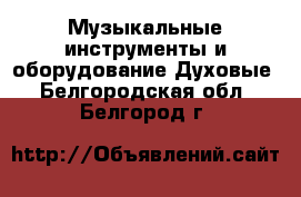 Музыкальные инструменты и оборудование Духовые. Белгородская обл.,Белгород г.